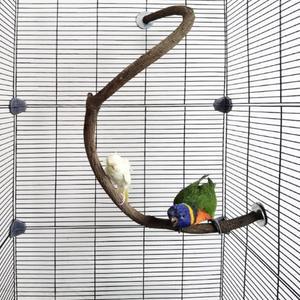 앵무새 농어 스탠드 새장 폴 천연 야생 포도 스틱 갈기 발 케이지 액세서리 버디 코누어 러브버드 플랫폼(S자형)