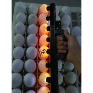 계란 조명기 신선도 손전등 메추리 조류 조명 검란기 부화기 램프 검사