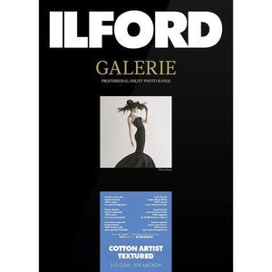 ILFORD 2004053 갤러리 프레스티지 코튼 아티스트 텍스처 - 13 x 19 인치, 25