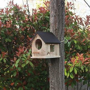 새집 미니 마당 장식 장면 개구리 석탑