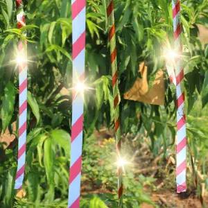 테이프 새쫓는필름 방법 조류 100m 새쫓기 새퇴치