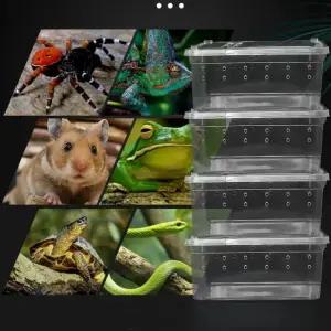 도마뱀 사육장 적재형 케이지 거미뱀 달팽이 육함 뿔개구리 파충류하우스