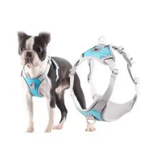 EA BORORO 반려동물 야광반사 X형 강아지 하네스 가슴줄