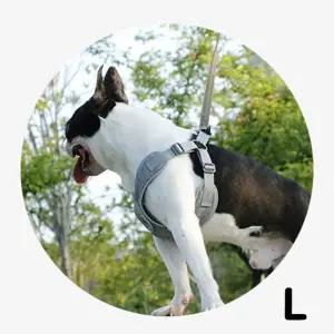 OH 소프트 애견 하네스 L통풍잘되는 활용성좋은 가슴줄 가슴 강아지 산책 하넥스 몸통 용품