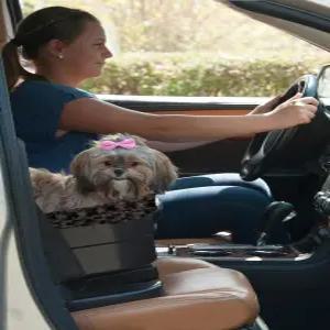 반려견/고양이용 반려동물 기어 부스터 시트 탈착식 세탁 가능한 편안한 베개 + 라이너 안전 테더 포함 몇