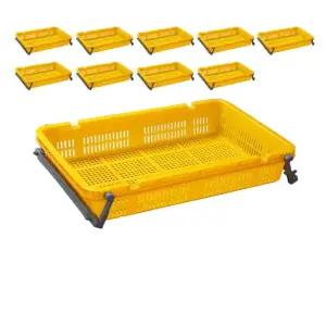 550 x 355 100 블루베리 수확용 운반 상자 10개입 과일