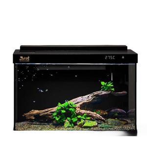 어항 베타 세트 수족관 380B 자동청소 물고기