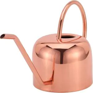 글리테라티 - 접시가 있는 실내 물뿌리개 및 화분.