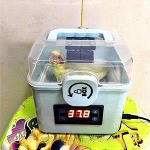 파충류 도마 온도조절 부화상자 인큐베이터 부화기