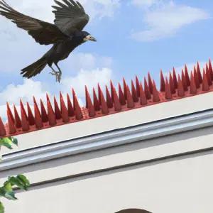 실외기비둘기 버드스파이크 비둘기퇴치용품 조류용품 비둘기방충망