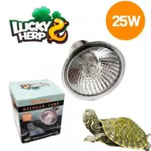 거북이전용 할로겐 램프 전구 25W UVB조명 파충류