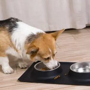 READYPLAN 애완견 반려동물 실리콘 스테인리스 2구 식기 R.P