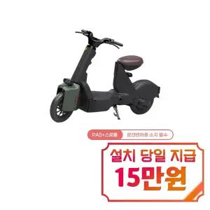 [레이윙] 전동스쿠터 TYPE 1 24A (그린) / TYPE 1_GR