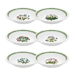 보타닉가든 뉴볼7인치 6p