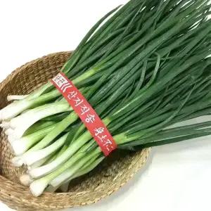 국내산 깐쪽파 쪽파 1단