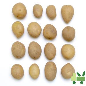 감자 20Kg (조림)