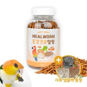 스위트냠냠 건조 밀웜 50g 앵무새 간식 단백질 소동물