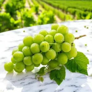 [자연예서]샤인머스캣 4kg(5수) 씨없는 망고포도