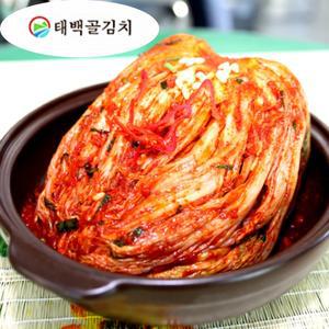 청정태백골김치 태백산김치 5kg 10kg