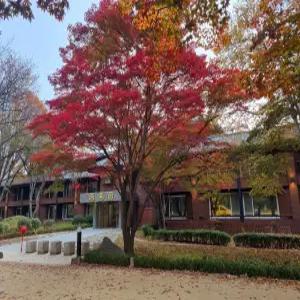 [강원 호텔] 남이섬 호텔 정관루 (춘천,강촌)