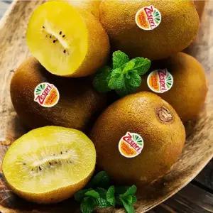 키위 최상급 프리미엄 제스프리 골드키위 20입(개당100g내외)