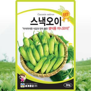 세계종묘 스낵오이 씨앗 30립 생식용 미니오이씨 종자