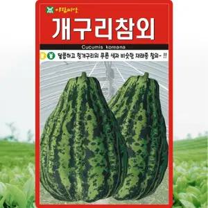 아람종묘 개구리참외 씨앗 50립 재래종 참외씨 종자