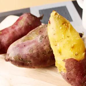 25년 해남 햇 고구마 5kg