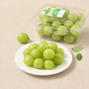 I`mperfect 못난이 샤인머스켓 500g 팩