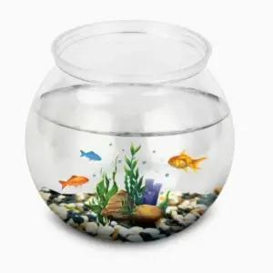 플라스틱 원형 어항 베타 구피 키우기 12.5X10cm (WFJTZML)
