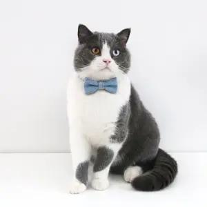 애견 데님 넥타이 목줄 강아지 고양이 목걸이 리본목줄 (WFK5ODG)