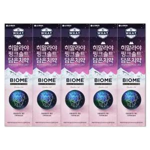 엘지 히말라야 핑크솔트 담은 치약 바이옴 100g X 5개