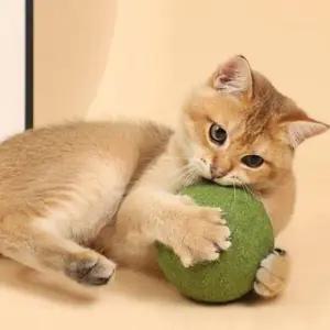 고양이 신선한 캣닢볼 15cm 1P 공놀이 흥미유발 사냥 WFIK4U2