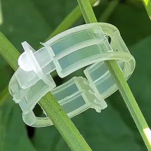 화분 식물 고정 지지대 클립 타이 원예도구 100P/원예/고정용/정원/지지/나무/원예용/화원/정리/가지/농촌