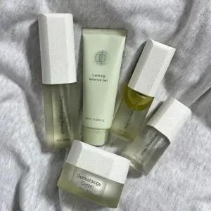 인셀덤 ICD 기초 5종 세트