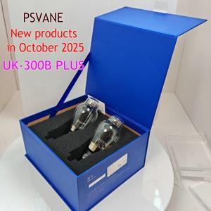 FEIYUE AMP PSVANE UK 300B PLUS 진공관 앰프 300B-98  오디오