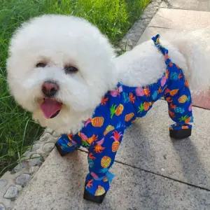 강아지 점프슈트 오염방지 옷 애견 아웃도어 보호복 방수