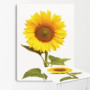 MP 집들이선물추천 원룸 거실 그림 액자 겸용 접이식 좌식 테이블 04-해바라기