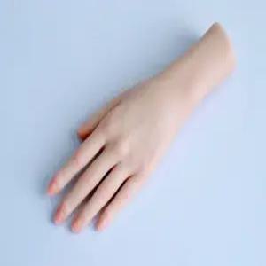 네일아트 손 모형 네일용품 교육용 연습용 마네킹 실습용 네일가게 가짜톱 국가고시