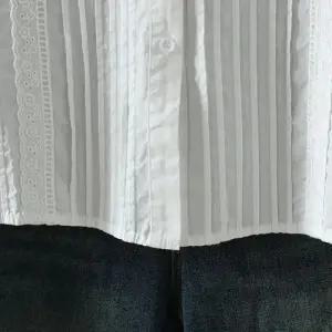 EAMT 여사친 가을 카디건 압조 솔리드 긴팔 셔츠 EUNG3