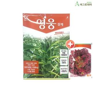 영웅 참깨 3000립 씨앗 씨 종자