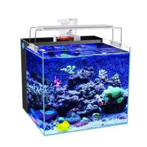 배면섬프어항 해수 어항 테트라 구피 수족관 광폭
