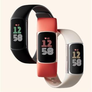 핏빗 차지6 스마트 워치 시계