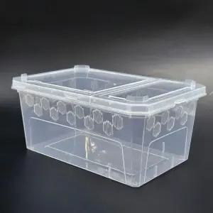 대형 파충류 크레스티드 게코 도마뱀 사육장 H11적재형케이지 사육 파충류집 하우스 케이스