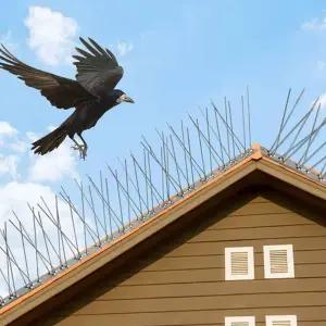 조류퇴치 버드스파이크 12set 스텐 블럭 비둘기 방지