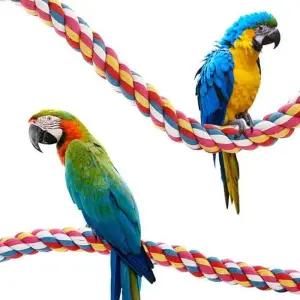 횃대 앵무새 컬러 장남감 그네 휴식공간 1P 105cm 놀이터