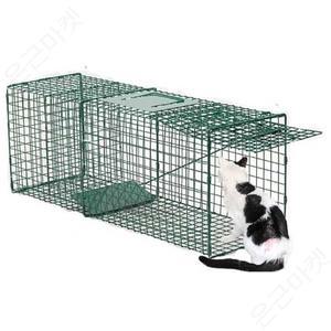 고양이 잡는 구조 길냥이 동물 잡는법 들개 유기견 철장