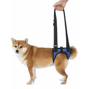 교정기 강아지 반려견 보호 노견 허리 움직임 뒷다리