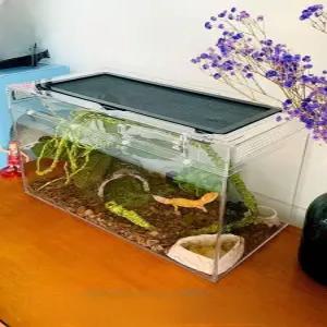 달팽이 파충류 키우기 사육장 상자 투명 애완용사육