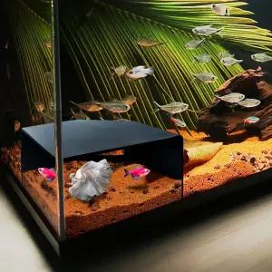 수족관 구석 동굴 Axolotl Cichlid 어항 액세서리 숨기기 시야 창이 있는 물고기 테라리움/수족관 지하
